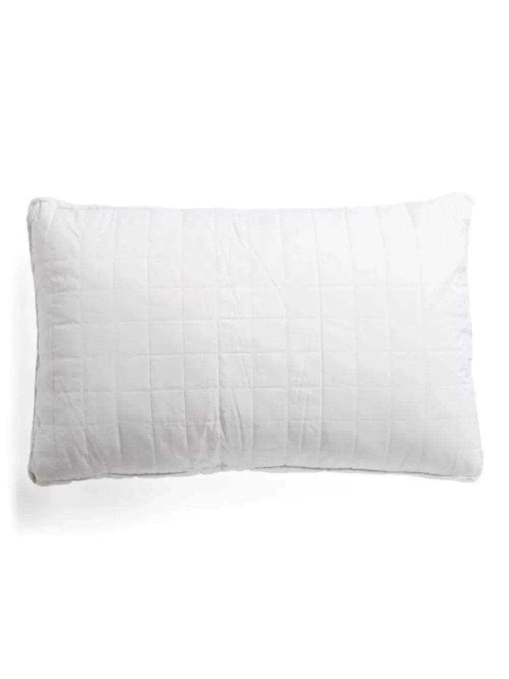 CENTURY ORGANICS Silk Filled Year Round Luxury Pillow
